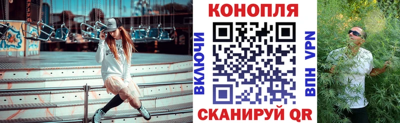 Где купить наркотики Чита ссылка на мегу сайт  Бошки Шишки  Cocaine  Меф  ГАШ 