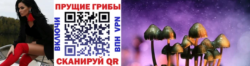 Псилоцибиновые грибы прущие грибы закладка нарко площадка Telegram Чита