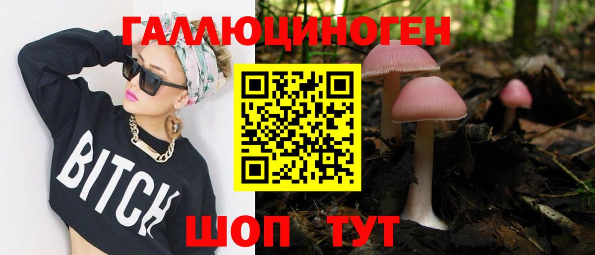 Галлюциногенные грибы Psilocybe Чита